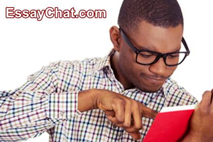 Essay Chat